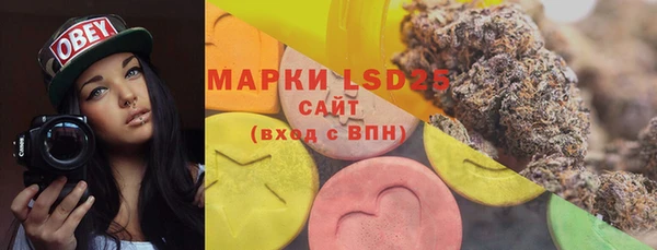 СК Осинники