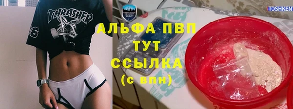 дживик Осташков