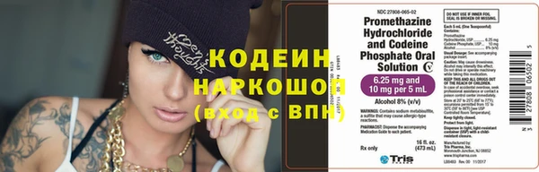 СК Осинники