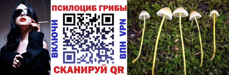 blacksprut онион  Уварово  Галлюциногенные грибы GOLDEN TEACHER  цены наркотик 