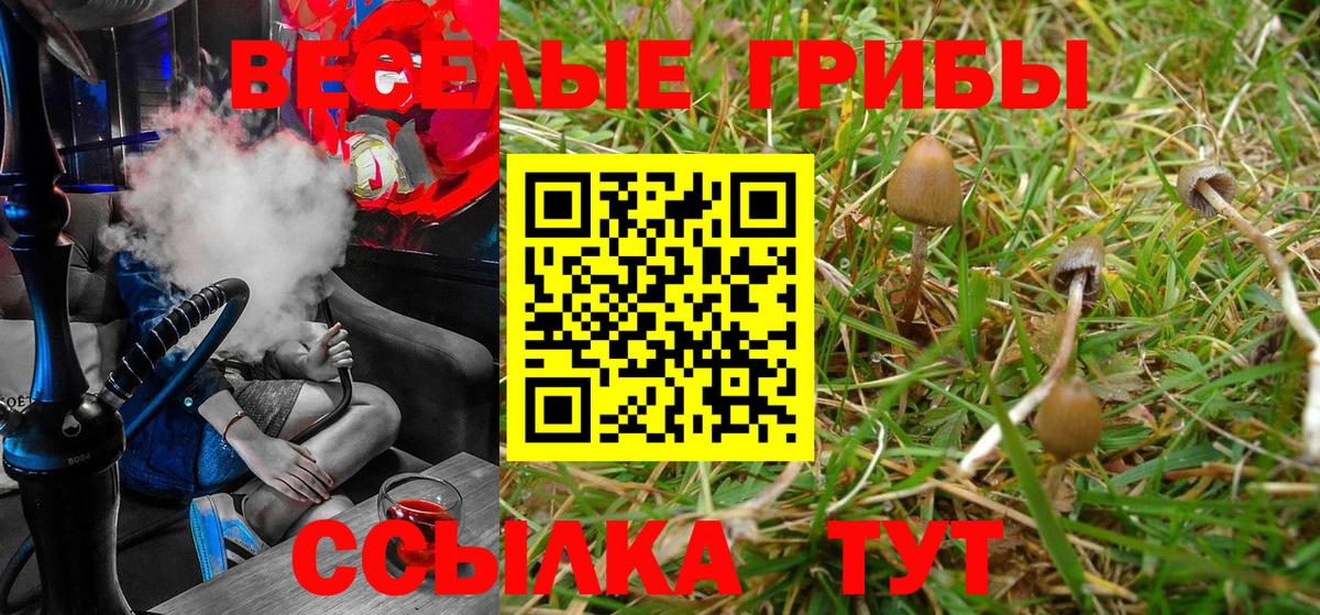 Галлюциногенные грибы Psilocybine cubensis Уварово