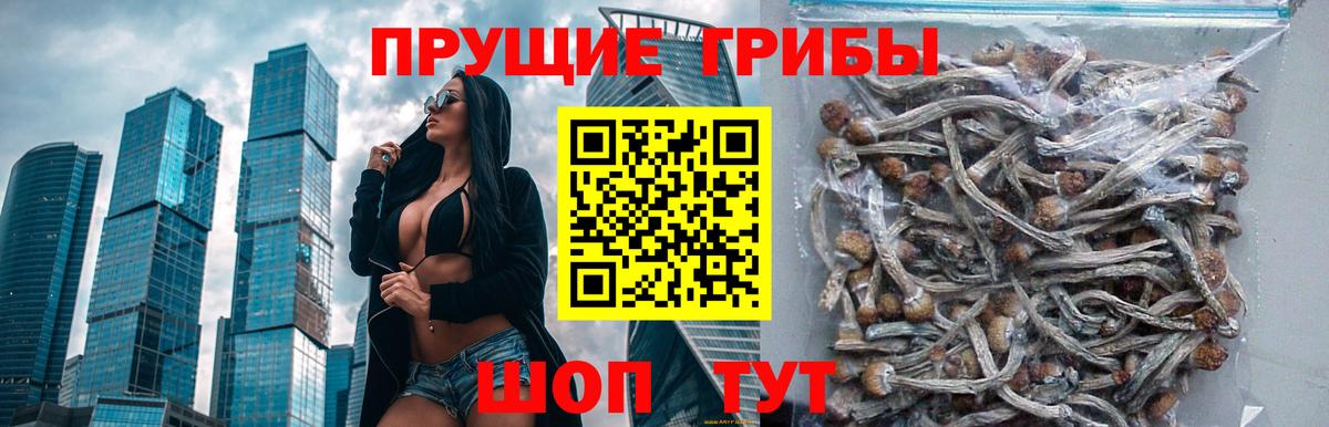 Псилоцибиновые грибы ЛСД  Вход с VPN  Уварово  Псилоцибиновые грибы прущие грибы 